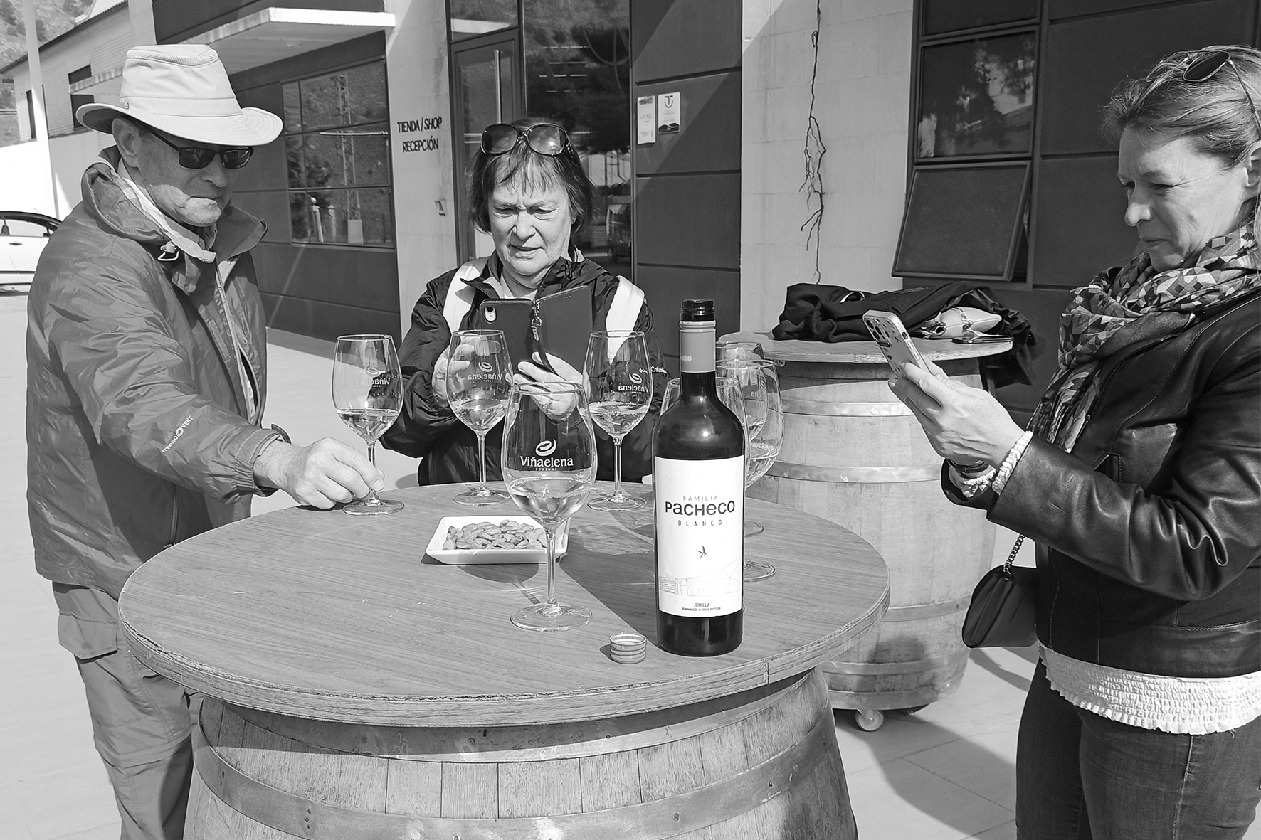 wines of murcia region 11