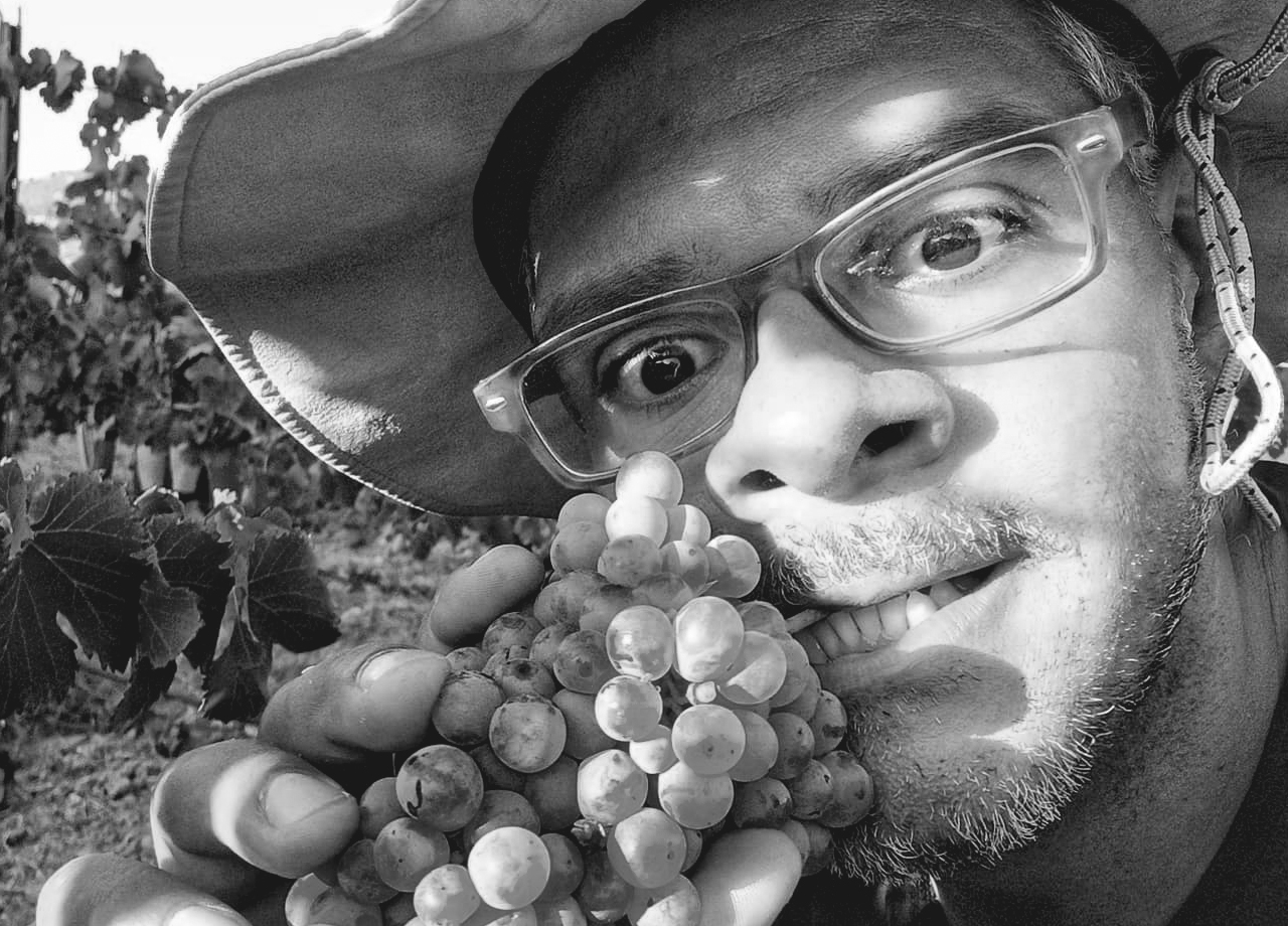 wines of murcia region 2cccc