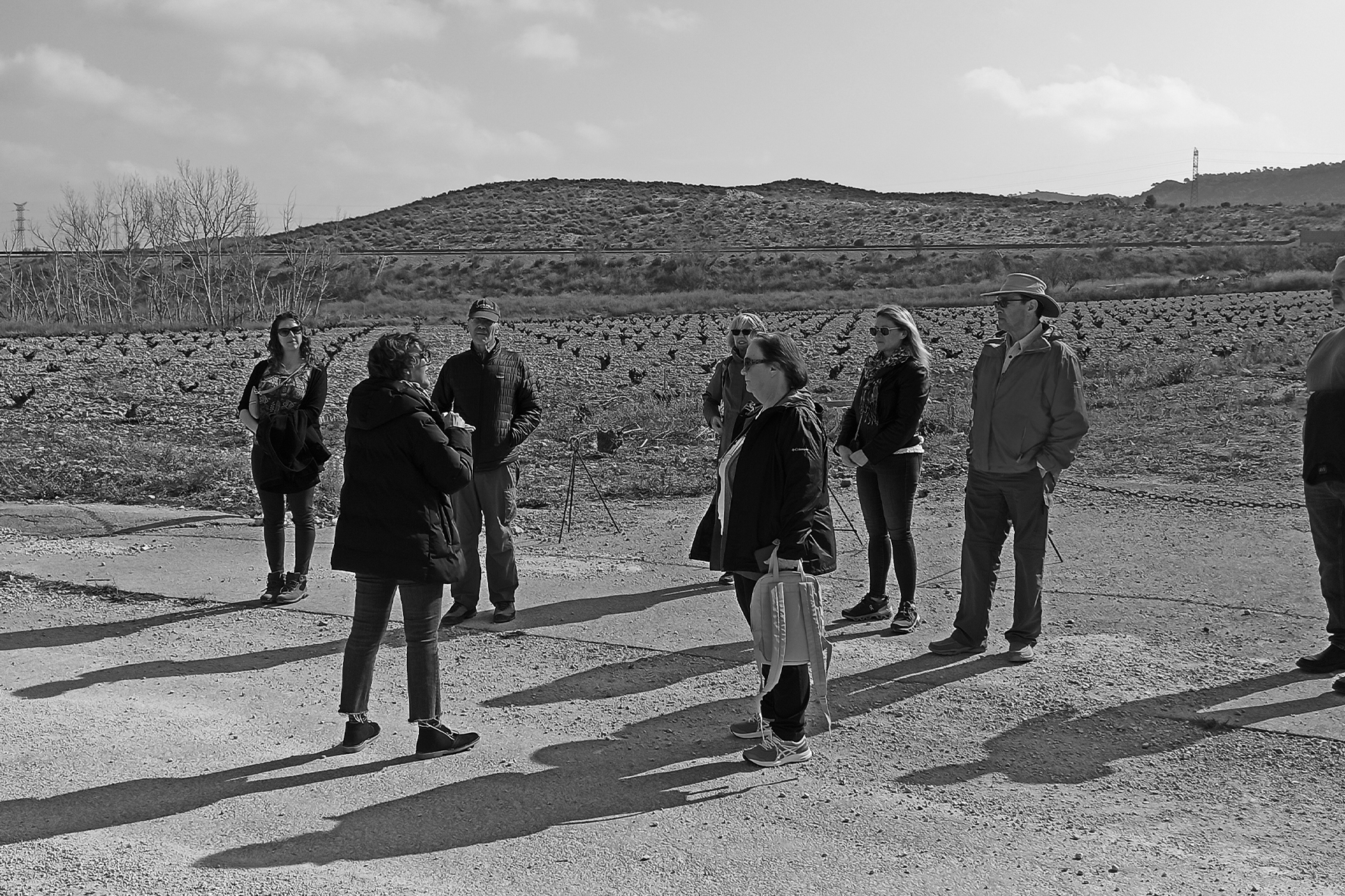 wines of murcia region 4