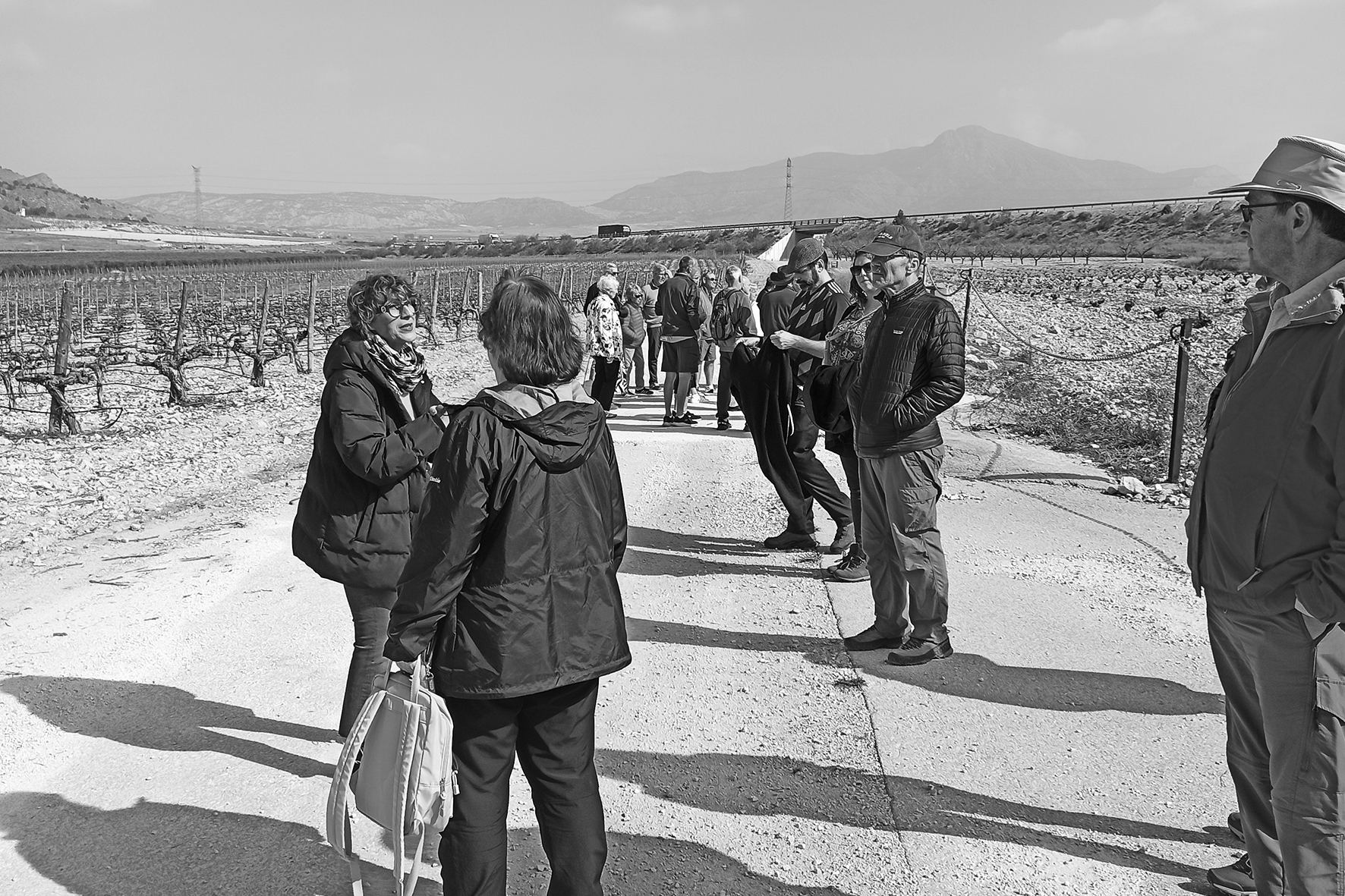 wines of murcia region 5
