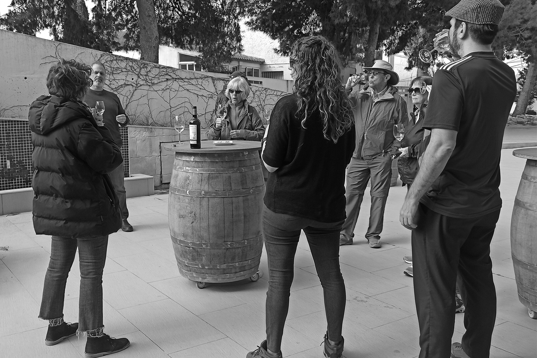 wines of murcia region 8